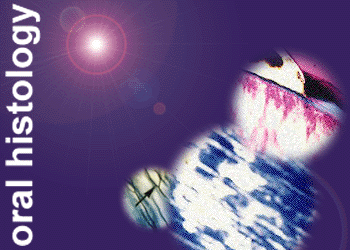 Histology Introduction Page